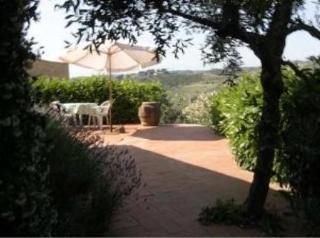 Agriturismo Bio Fattoria Bacio Certaldo Dış mekan fotoğraf