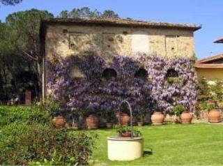 Agriturismo Bio Fattoria Bacio Certaldo Dış mekan fotoğraf